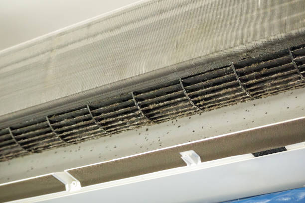 Best Best Air Duct Cleaning Near Me  in Cicero, IN