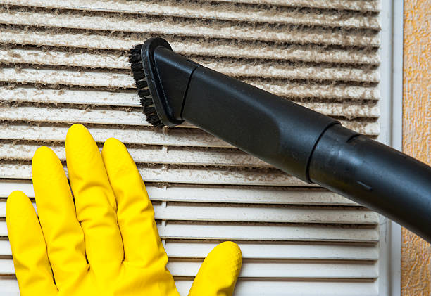 Best HVAC Air Duct Cleaning  in Cicero, IN